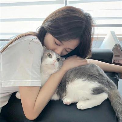 功夫无敌