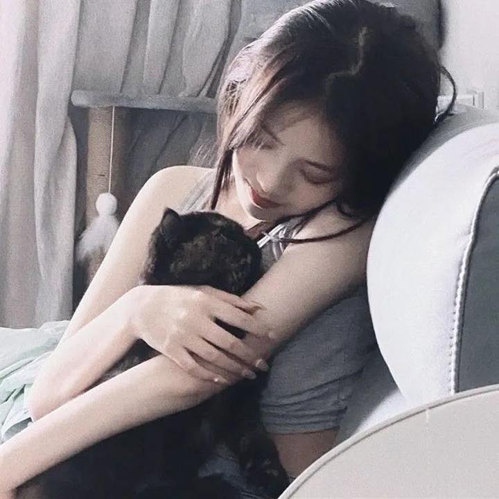 飞向月球